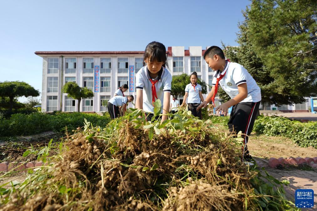 彩霸王综合资料论坛745888下载